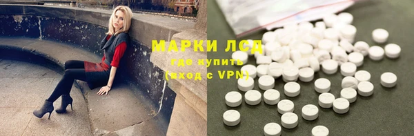 индика Алексин
