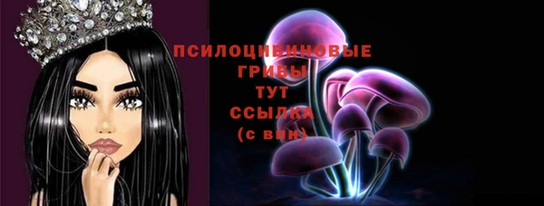 индика Алексин