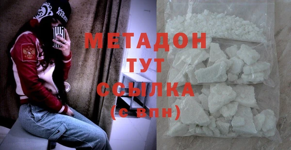 индика Алексин