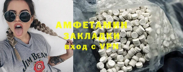 гидра Алексеевка