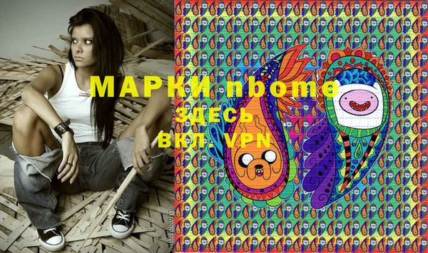 индика Алексин