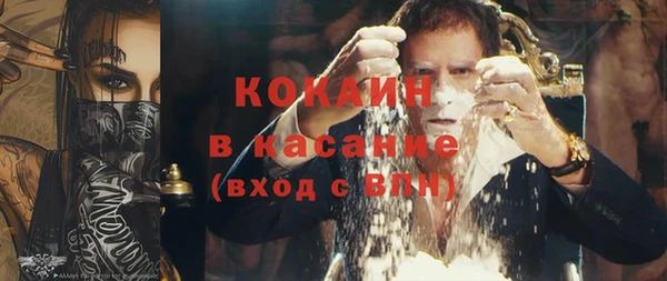 индика Алексин